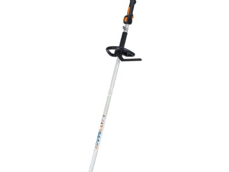 DECESPUGLIATORE FS 120