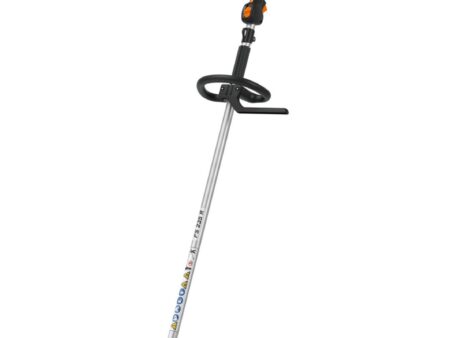 DECESPUGLIATORE FS 235