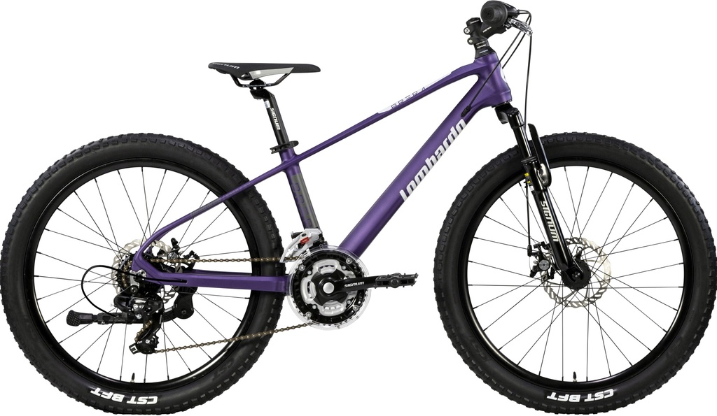 LD 24 BRERA DISC VIO BEC/GRE ANT/GRE RIC MATT 33CM