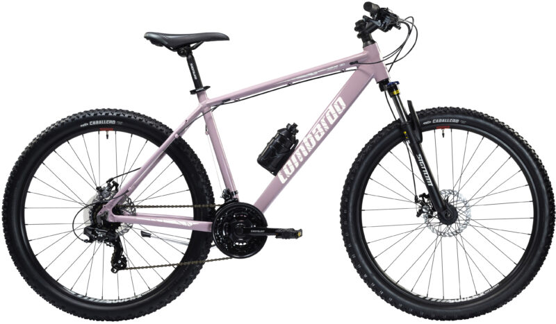 LD 27 SESTRIERE 130 DISC VIOLET GLICIN GLOSSY 43CM
